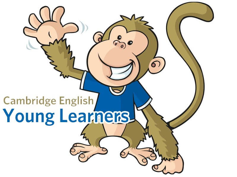 Cambridge Young Learners 2019